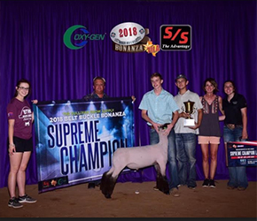 winner