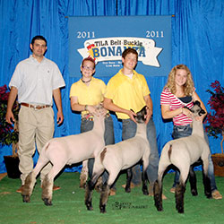 Sheep Winners