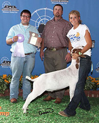 Sheep Winners